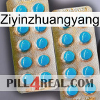 Ziyinzhuangyang new08